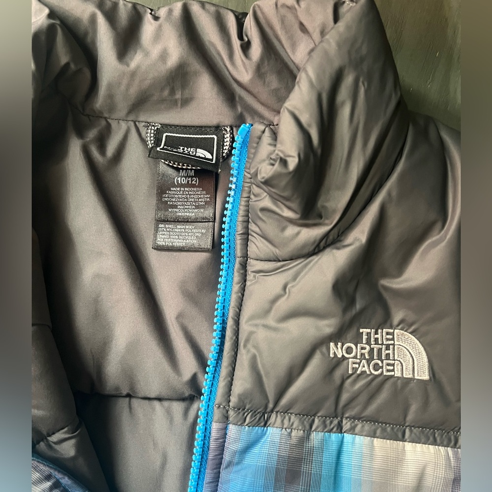 The north face vest